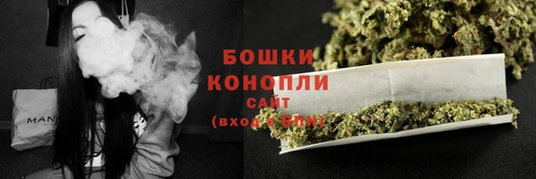 дурь Бородино