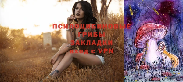 дурь Бородино