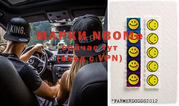 дурь Бородино